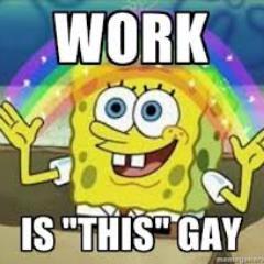 workisgay's profile picture. The steep learning curve being a straight employee of a gay nightclub