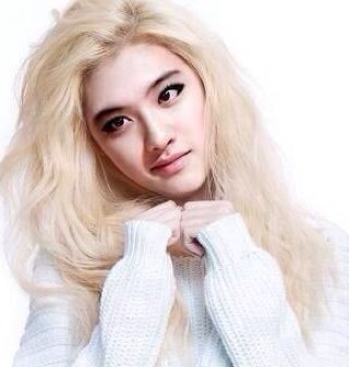 trendforexo Profile Picture