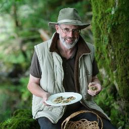 Fabulous mushroom products from Snowdonia. Arch-fadarchwyr Cymru!