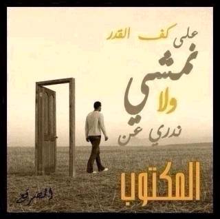 onego44's profile picture. 