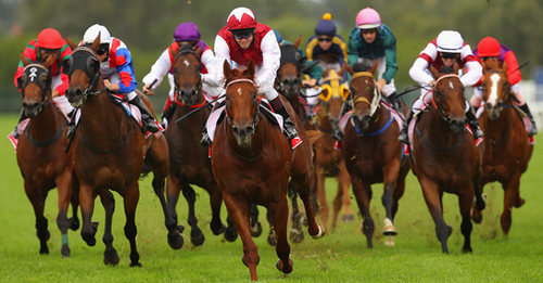 visit our website for great value lays all proofed to racing indexhttp://www.betfairprofits.com/