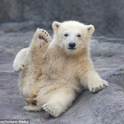 Clubhulp's profile picture. Verenigingen, Clubs en Goede doelen kunnen op een slimme wijze en eenvoudige wijze extra inkomsten verwerven.