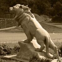 Howard High School (@hcpss_hohs) 's Twitter Profile
