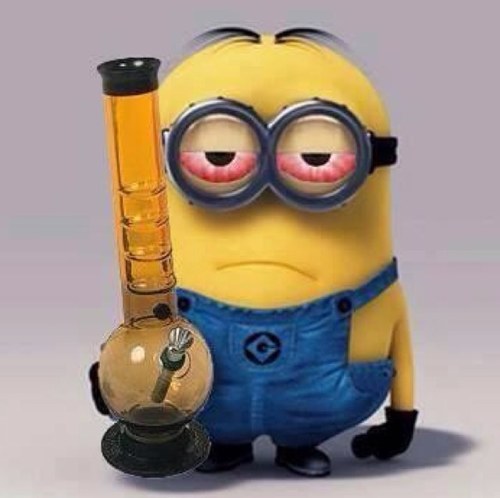 Too make nature illegal, seems a bit un-natural #RelegalizeCannabis #StonerNation #StonerFam #StayHigh