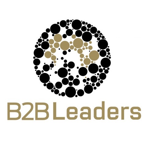 Helping senior B2B marketing and sales professionals raise their game - #B2BLeaders