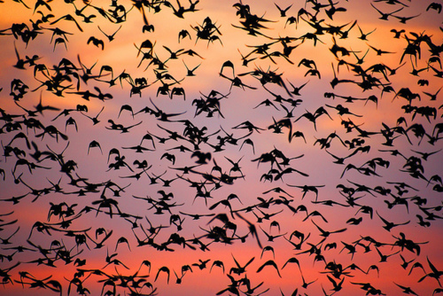 dakotaesk's profile picture. 