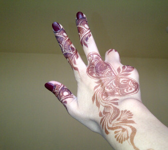 Never Give Up .. Instagram: maryam_alkhoory