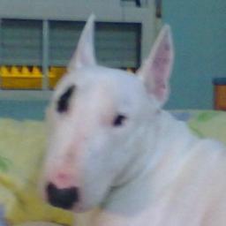 ezequiel_ga_ct's profile picture. 