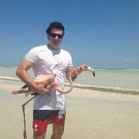 Sergio Grosjean A. (@sergiogrosjean) 's Twitter Profile
