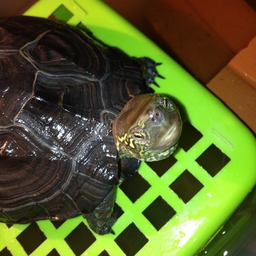 06010u0's profile picture. 