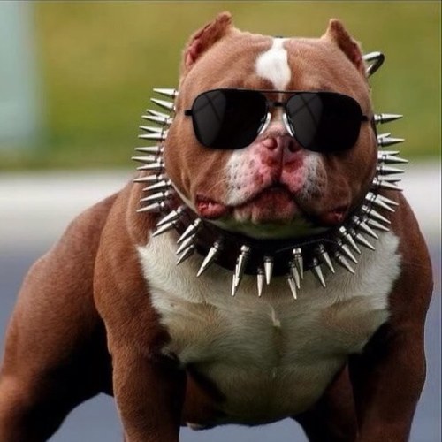 hinatavoccomen's profile picture. 右に偏るのも左に偏るのもナンセンス。白黒つけずにいいグレーを探ろうのスタンスで生きてます。