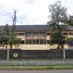 Just for Generation of Faculty Animal Husbandry Unsoed'13 bagian dari OSMB FAPET BRAHMAN 2013