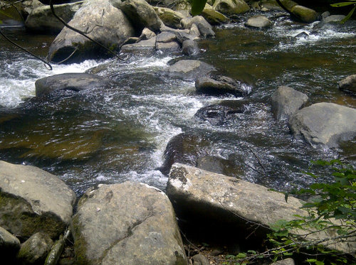 pathwalker12's profile picture. Pursuing a long, slow, quiet recovery. Peace✌️#yoga #meditation #treehugger #PTSD #Depression #Sobriety #mentalhealth #plantbased