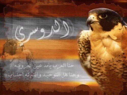ثمّةَ أشخاصٌ نُحبُّهم ولكنّهُم لم يُخلقوا لنا(وَقَلبٌ أسّعَدنِي يَومَاً كَيف لِي أنّ أنسَاه ৣৣ. )