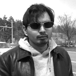 Java, Scala, Erlang developer