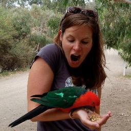 Royal Society Research Fellow at the University of Exeter, interested in visual ecology, behaviour, illusions, and all things bowerbirdy