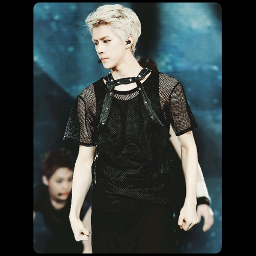 โย่ว! We r exo!!  ผม โอเซฮุนจอมร้ายกาจ มันใจว่าสูงยาวเข่าดี? หล่อ เท่ มาดเซอ ฮึฮึ มาคุยกับผม .ยิ้มมุมปาก ผมไม่หยิ่งนะ!! จ.บ. #ไร้สังกัด