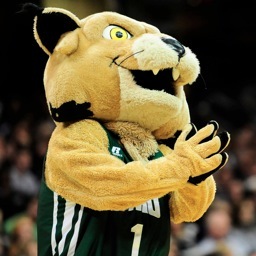 The official Rufus Bobcat account! OUr State, OUr Team, OUr Mascot.