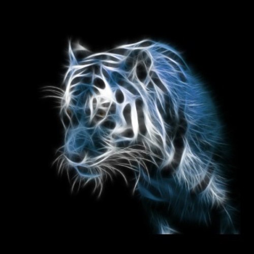 BigRed1131's profile picture. 