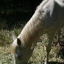 sandy castle - @hemisandy - Twitter