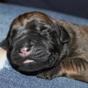 Jack Neiman - @doolittle1313 - Twitter