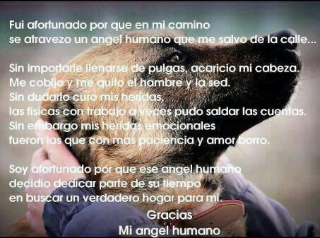 casandratr's profile picture. 