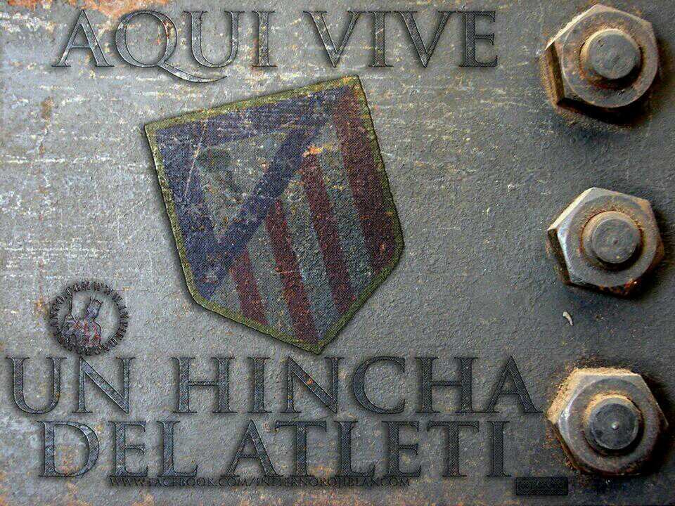 Del atleti desde que vine al mundo, madrileño y apasionado por la musica , los deportes y la gastronomía
