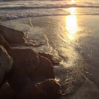 Anthony R (@digidesigner) 's Twitter Profile