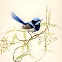 Danielle Statham - @StathamDanielle - Twitter