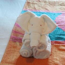 SharonLewis68's profile picture. 