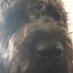 Ian Ashworth (@1weeman1) Twitter profile photo