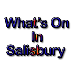 Business directory for businesses in and around Salisbury Wiltshire give us a call to chat about how we can help you improve your online presence on 07766946331