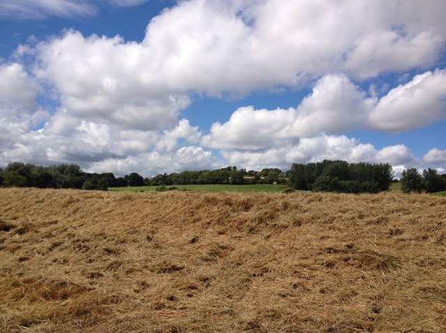 goingbeyond's profile picture. ethics, theatre ,communication and mental health