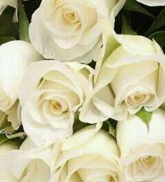 s_a11222's profile picture. 