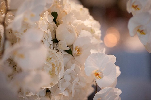 Floral designers that will make your wedding day spectacular and memorable. We can offer a bespoke tailor made approach to assist you realise your dreams.