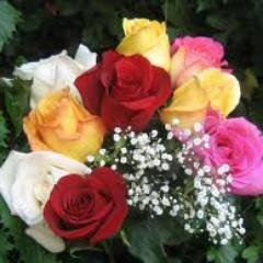 sambarock0's profile picture. Soy una flor llena de alegria y de amor.