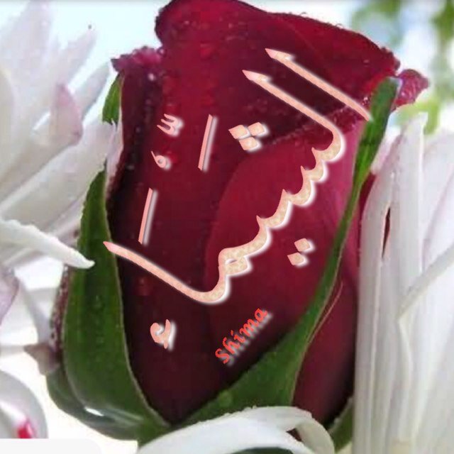 لَا تُحْبِطْ الْآخَرِينَ بِكَلَامِكَ...حَتَّىٰ لَوْ كُنْتَ تَرَىٰ الْحَيَاةَ تَعِيسَةً!!فَغَيْرُكَ يَحْتَاجُ لِلْأَمَلِ،،فَإِمَّاأَنْ تُسَاعِدَ أَوْ فَاصْمِتَ،،