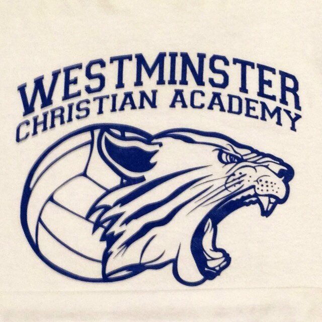 WCAVolleyball Profile Picture