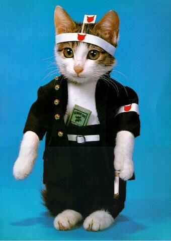 なめ猫 Shudappe Twitter なめ猫 Shudappe Twitter
