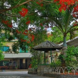 Official twitter account of Immaculate Conception School of Baliuag, Baliwag, Bulacan, Philippines