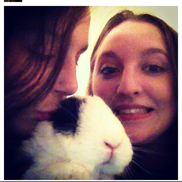 sammwoodard's profile picture. Live life to the fullest.
HHS '12 FSU '16