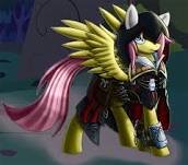i am a girl who loves assassins creed and yes i am a pegasister, and sunset shimmers sister :)