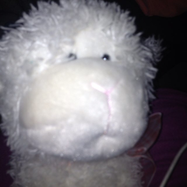 mozka16's profile picture. 