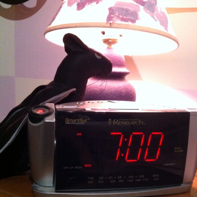 Beep! Beep! Wakey Wakey! GISHWHEEEEEEEEEEEEEES!