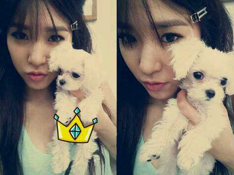 Hi my name is fiona mandrawa im like girls generation i like yuri so im is yurisistable ,this my twitter ,follback just mention