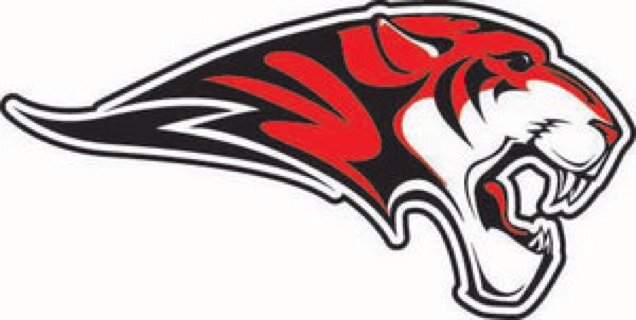 tigertweets96's profile picture. 