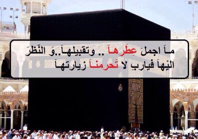 انسان