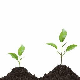 tourismstartups's profile picture. #tourismstartups news and more