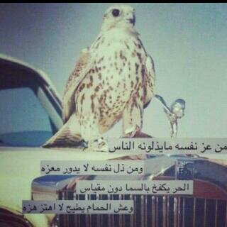 ضيفوني علي ألببي pin:29961B15