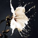 Jessica Hatfield - @jess_hatfield_ - Twitter